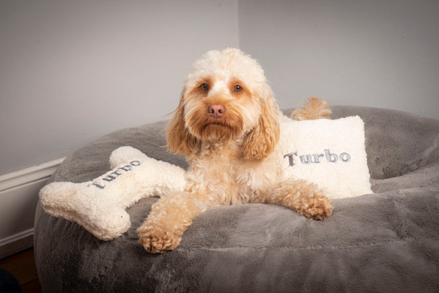 Hundekissen personalisiert TEDDY - klein - Druckschrift